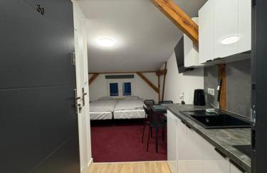 Apartamenty Stary Młyn - Foto 1