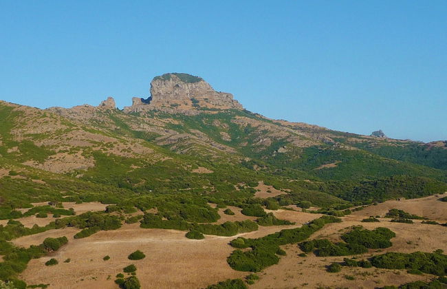 Agriturismo Sa Tanca - Photo 38