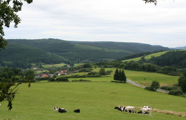 Bungalow in Eifel Near Mountain Trails - Foto 26