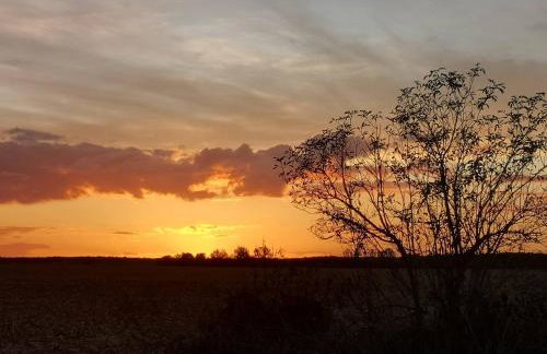 Domek na łące - Foto 8