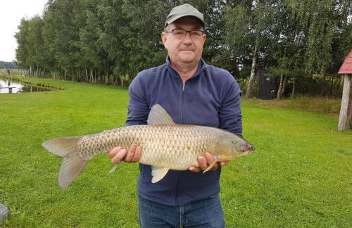 Dom w Sąpach - Foto 31