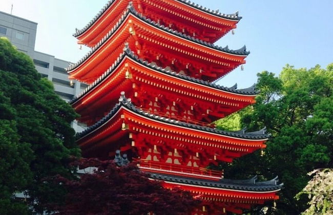 Yagura Hostel - Foto 65