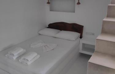 Aletri & Orgoma - Foto 14