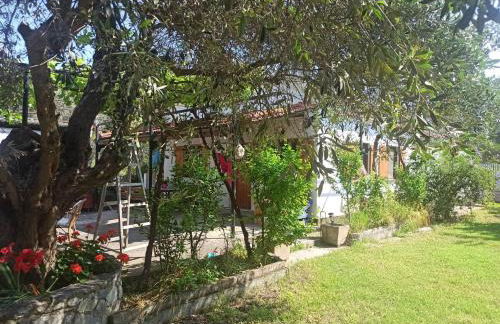 Zephyr Guest House - Foto 7