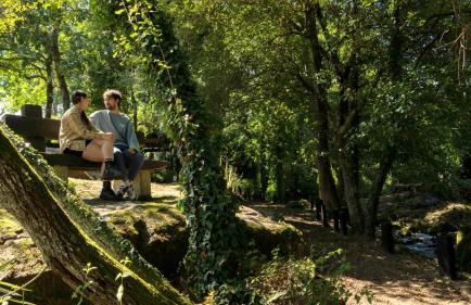 Casa da Muiñeira - Foto 51