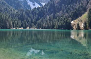 Alpine 1 bed Chalet with beautiful views - Foto 6