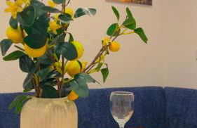 Merys Home - Foto 28