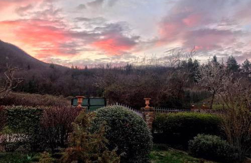 Villa Porcigliano Olive Grove - Foto 54