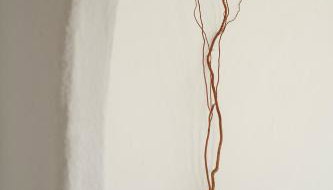 Alojamiento Rural CASAPIÑA - Foto 5