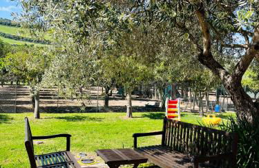 Agriturismo Silis - Foto 6