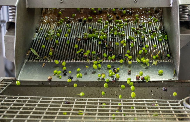 Agriturismo Vecchio Borgo di Inalbi - Photo 23