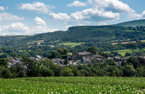 1 Bed in Clyro 86975 - Photo 18