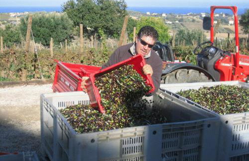 L'Orso e L'Ape B&B - Foto 44