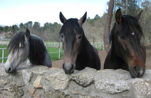 Aventura II - Photo 27