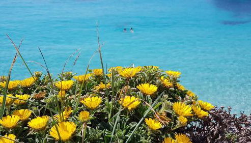 Cala Morlanda - Foto 4