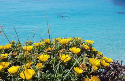 Cala Morlanda - Foto 4