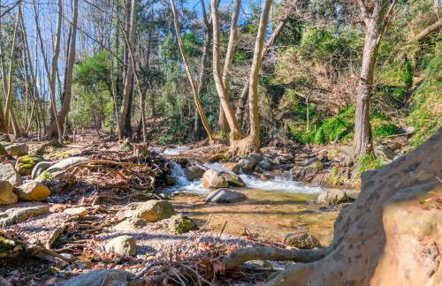 Cal Metge de Gualba - Foto 48