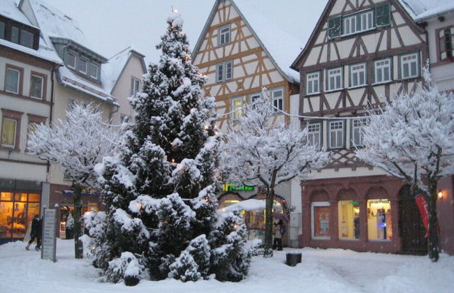 Holiday Apartment Old Town Hall - Foto 37