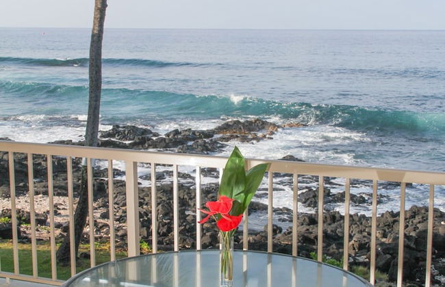 Kona Reef Resort - Foto 33