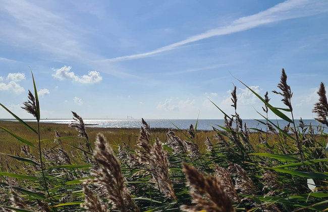 4 Star Holiday Home in Hojer - Foto 10