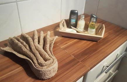 Ferienwohnung keine Monteurvermietung Nähe Heidelberg Hockenheim BDS Anlage - Foto 7