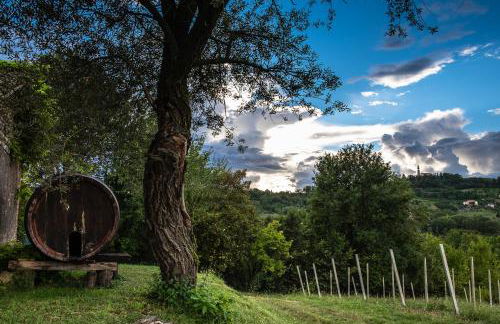 Agriturismo Le Spezie - Foto 84