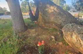 Lakeview Dome - Foto 15