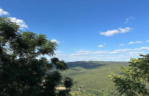 La Casina di Pinutte - Foto 12