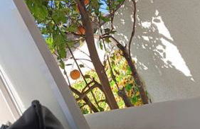 Villa in La Marina with cozy garden and private solarium - Foto 29