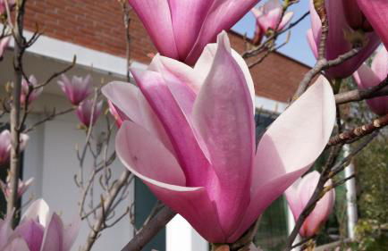 Dream Venice Airport - Photo 6