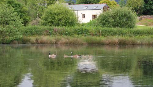 Lakeview Cottage - Photo 4