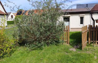 Sonnengarten - Photo 4
