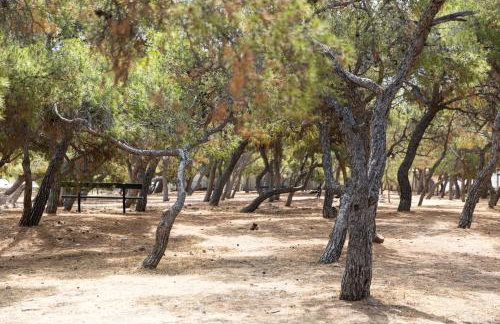 MC Studios - Foto 19