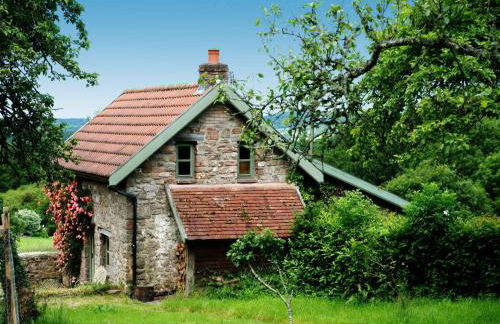 Orchard Cottage Monmouthshire - Foto 12