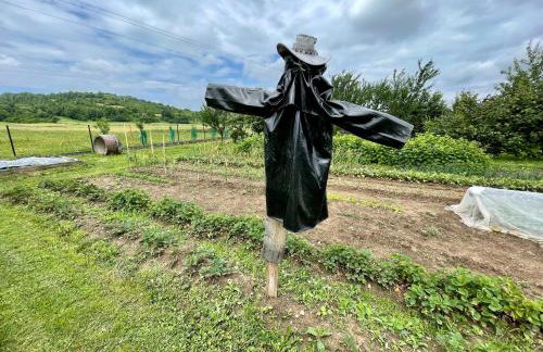 U Ewy pod Brzozami - Foto 44