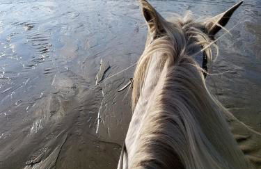 LES COQUILLAGES, 2 salles de bains, lits faits et tout à pied - Foto 43