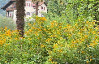 Apartment Sonne auf Bio-Hof - Foto 26