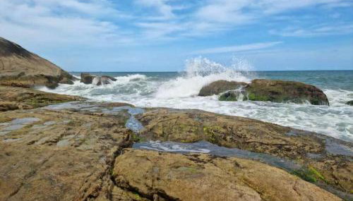 Apartamento de Praia - São Francisco do Sul - Foto 3