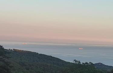 Apartamentos Can bruguera 3 - Photo 4