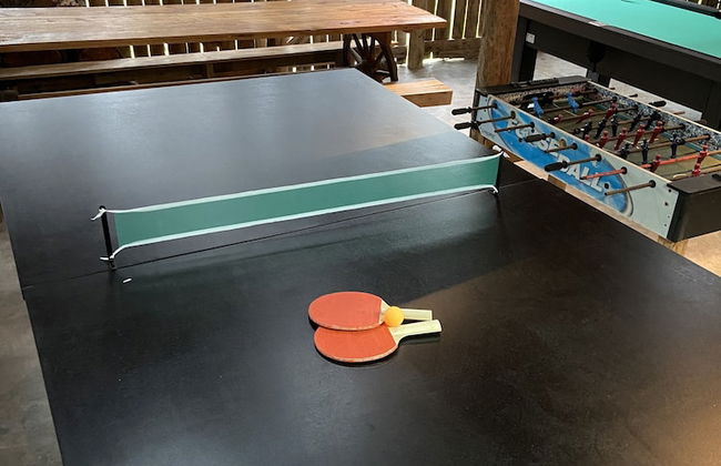 Haras Trevo de Ferro - Photo 11