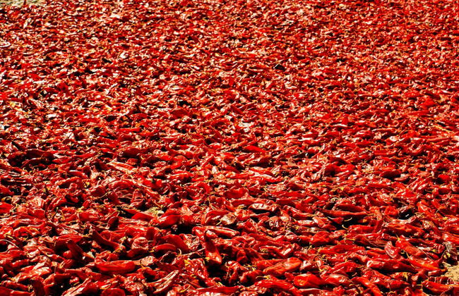 Excursión a Cachi - Foto 8