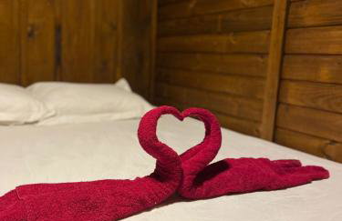 Chalé Cabana Sítio na Serra para amigos e familiares com Piscina - Photo 36