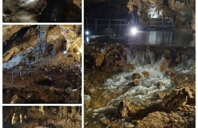 Apartman Orhideja - Foto 44