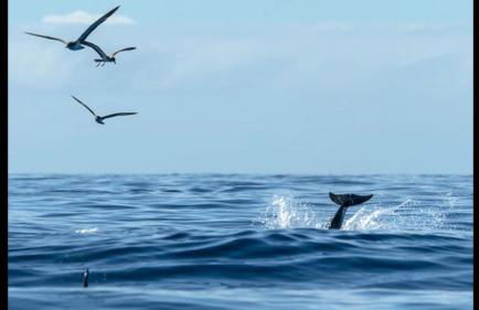 Casa Rural La Tinta - Foto 9