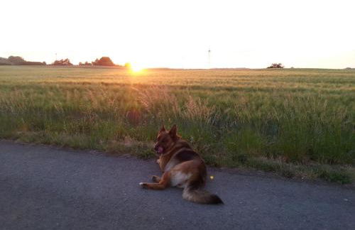 Haus Saskia - Foto 8