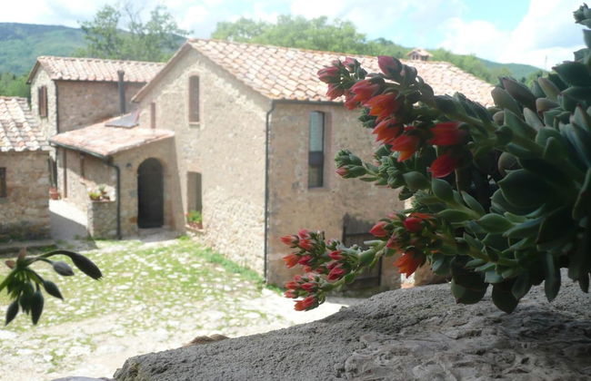 Agriturismo Colli di Travale - Foto 49