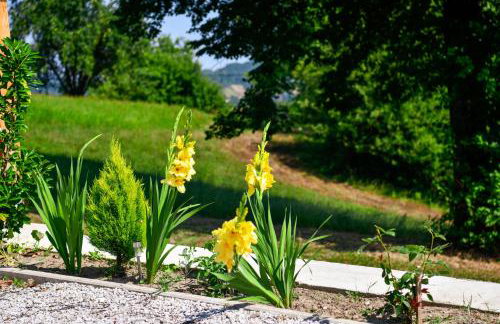 Villa Jelena - Photo 30