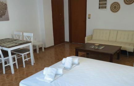 ARTEMIS and FILLO - Photo 9