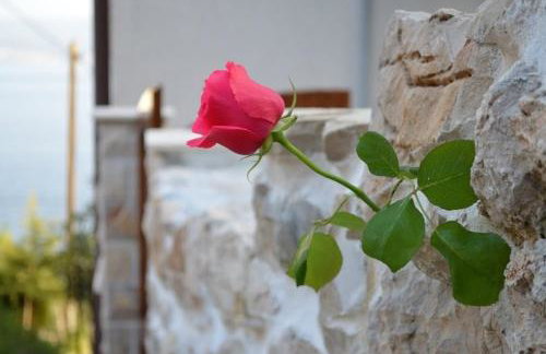 Holiday Villa in Omiš - Foto 43