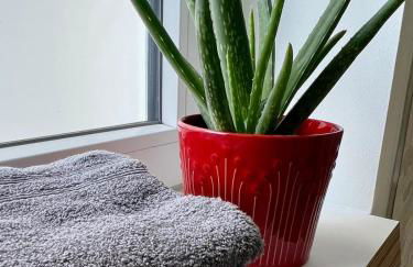 Bülow29 - Durchdachtes Wohnen auf Zeit in Kiel - Foto 10